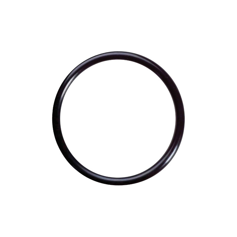 Gasket piston rod DICK
