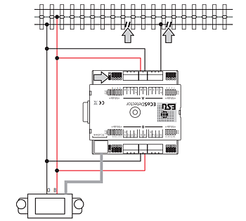 ECoSDetector, feedback modul