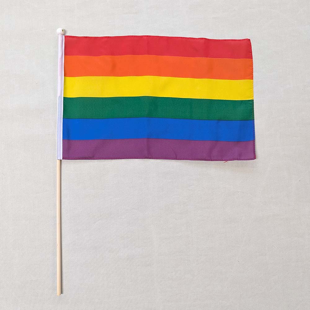 Handflagga Pinne Nation 30x45 cm - 4