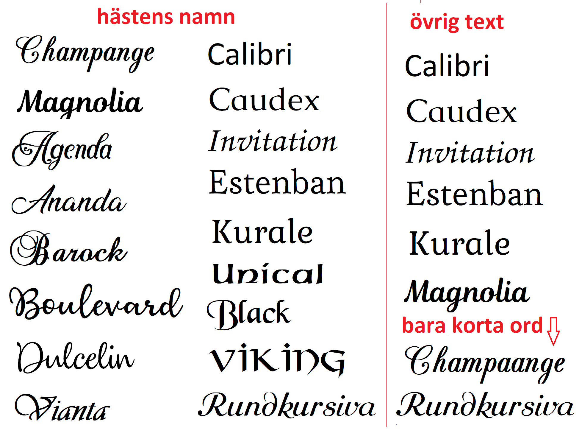 Nr 9 Boxskylt med islandshäst och slinga Namn år ägare  - 3