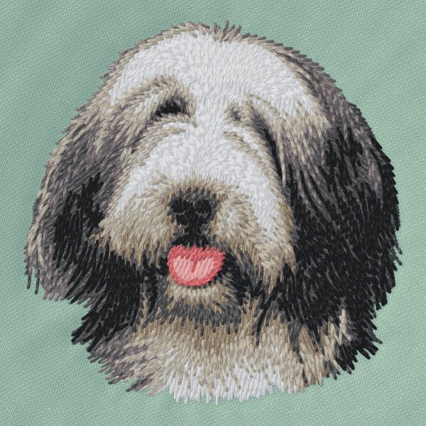 Bearded Collie