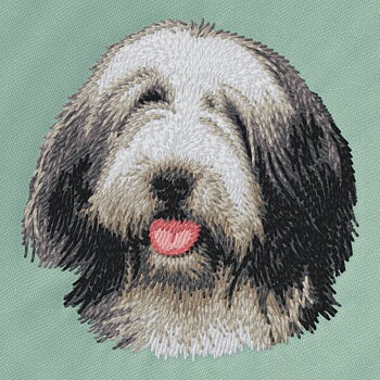 Bearded Collie