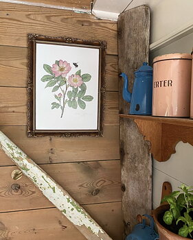 ART PRINT WILD ROSE 21x30