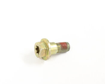 Flange screw, seatbelt