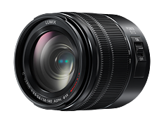 Panasonic  G Vario 14-140mm f/3.5-5.6 II