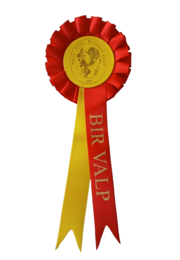 1011 - Schleife 1 Rosette 2 Bänder fülliger Faltung - 7