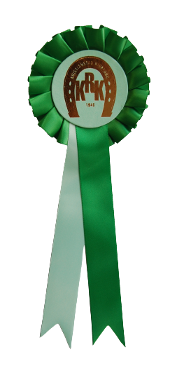 1011 - Schleife 1 Rosette 2 Bänder fülliger Faltung - 3