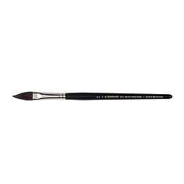 Rembrandt water colour brush series 132