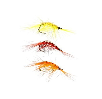 Ifish Gammarus 3-pack