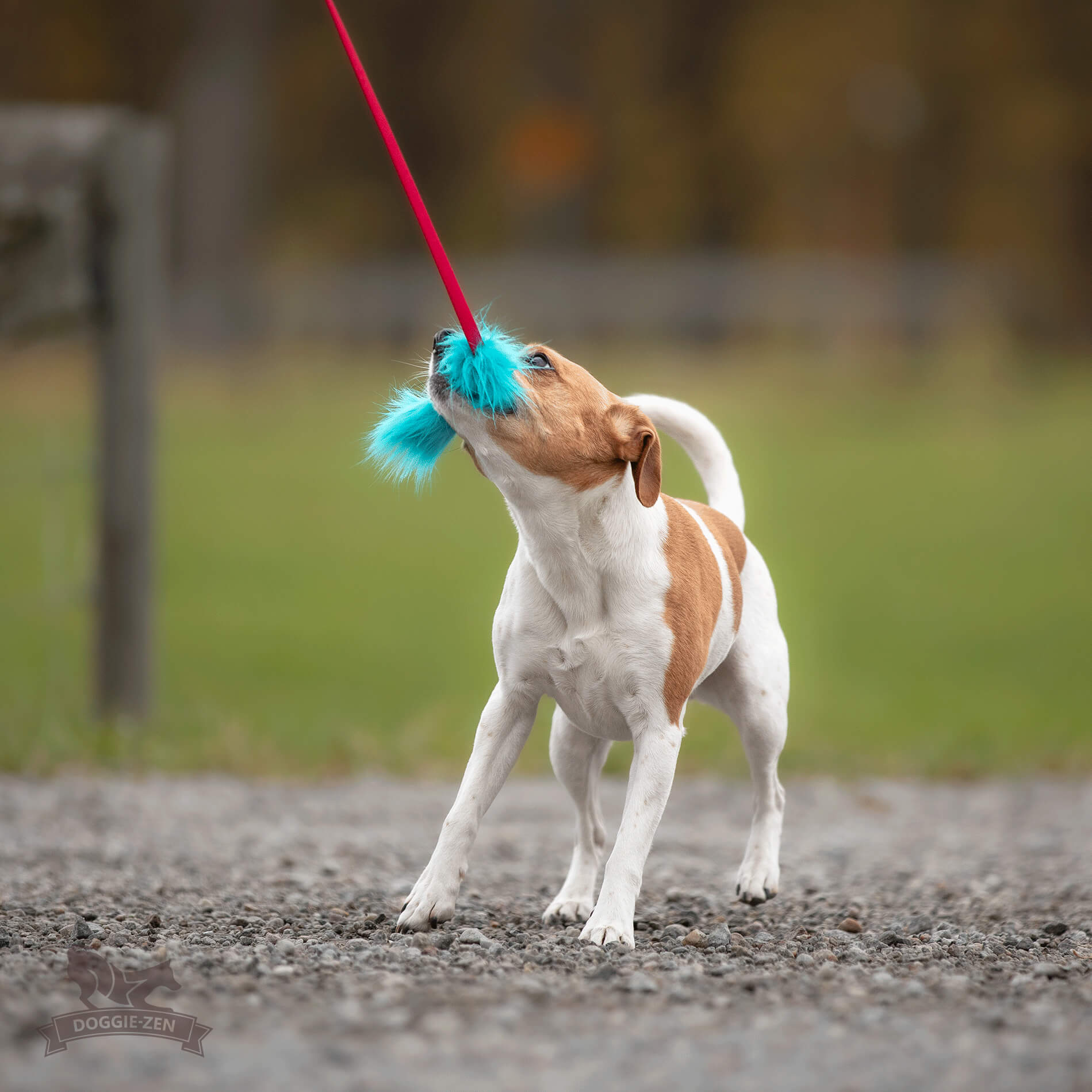 Bungee Fake Fur Chaser Tug S - 3