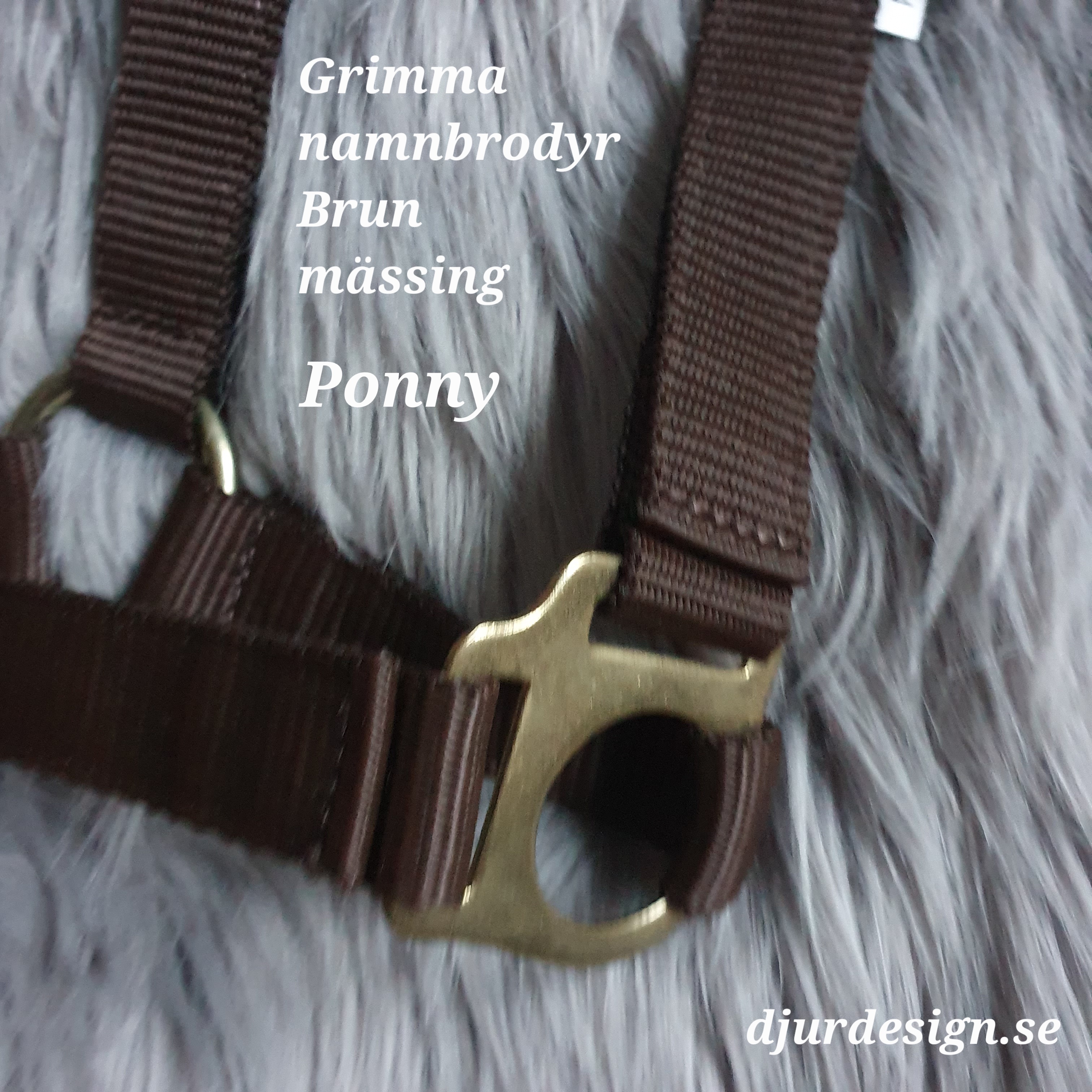 PONNY Brun mässing grimma  men namn brodyr - 8