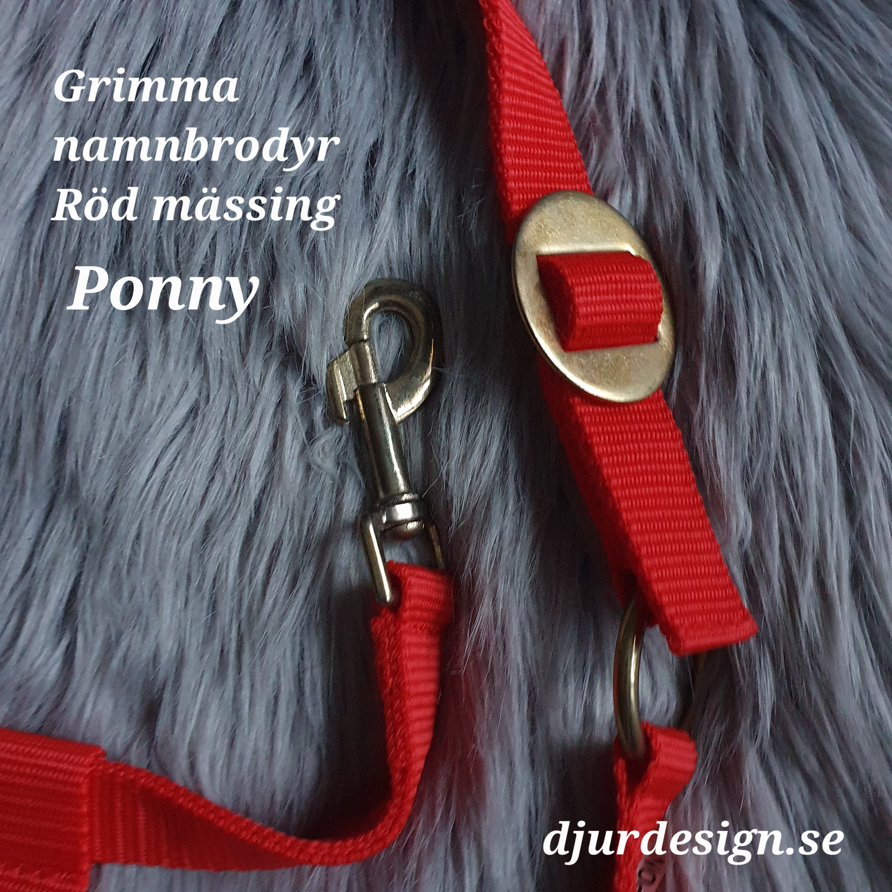 PONNY Röd mässing grimma  med namn brodyr - 6