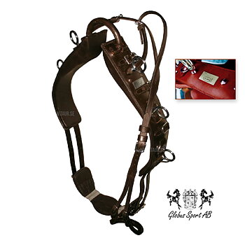 Lunging / training Surcingle, Globus DeLuxe - NewTan