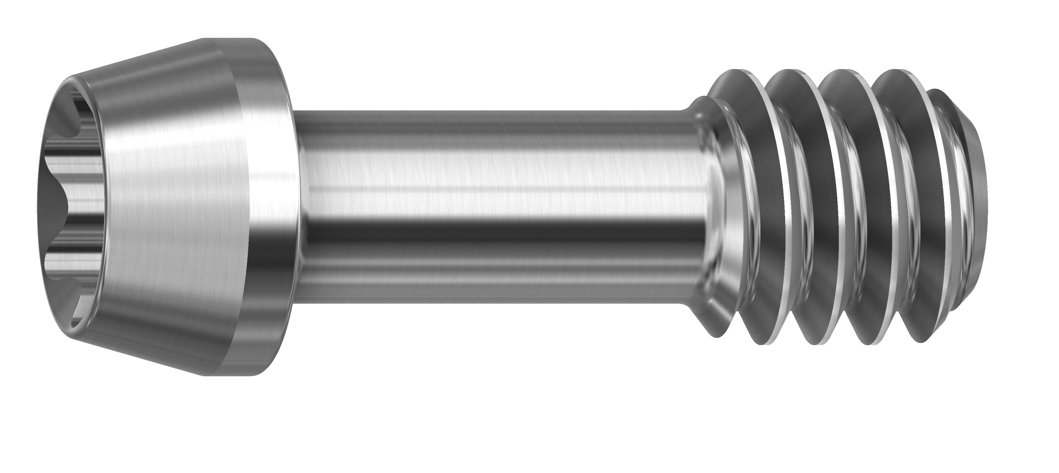 Skrue  RN/WN - til DESS AURUM Base™ - Straumann®