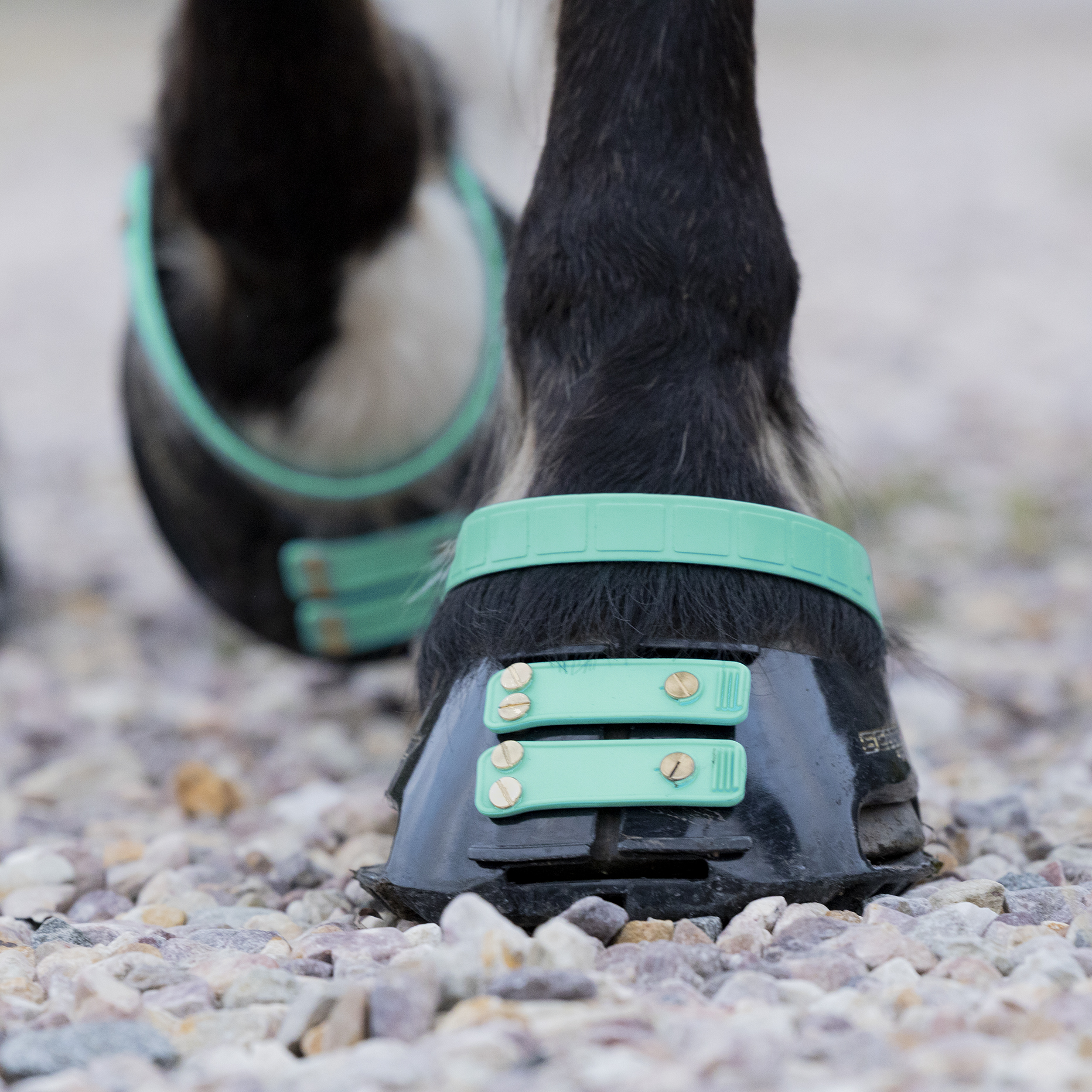 Scootboot Front Strap  2-pack  - 11