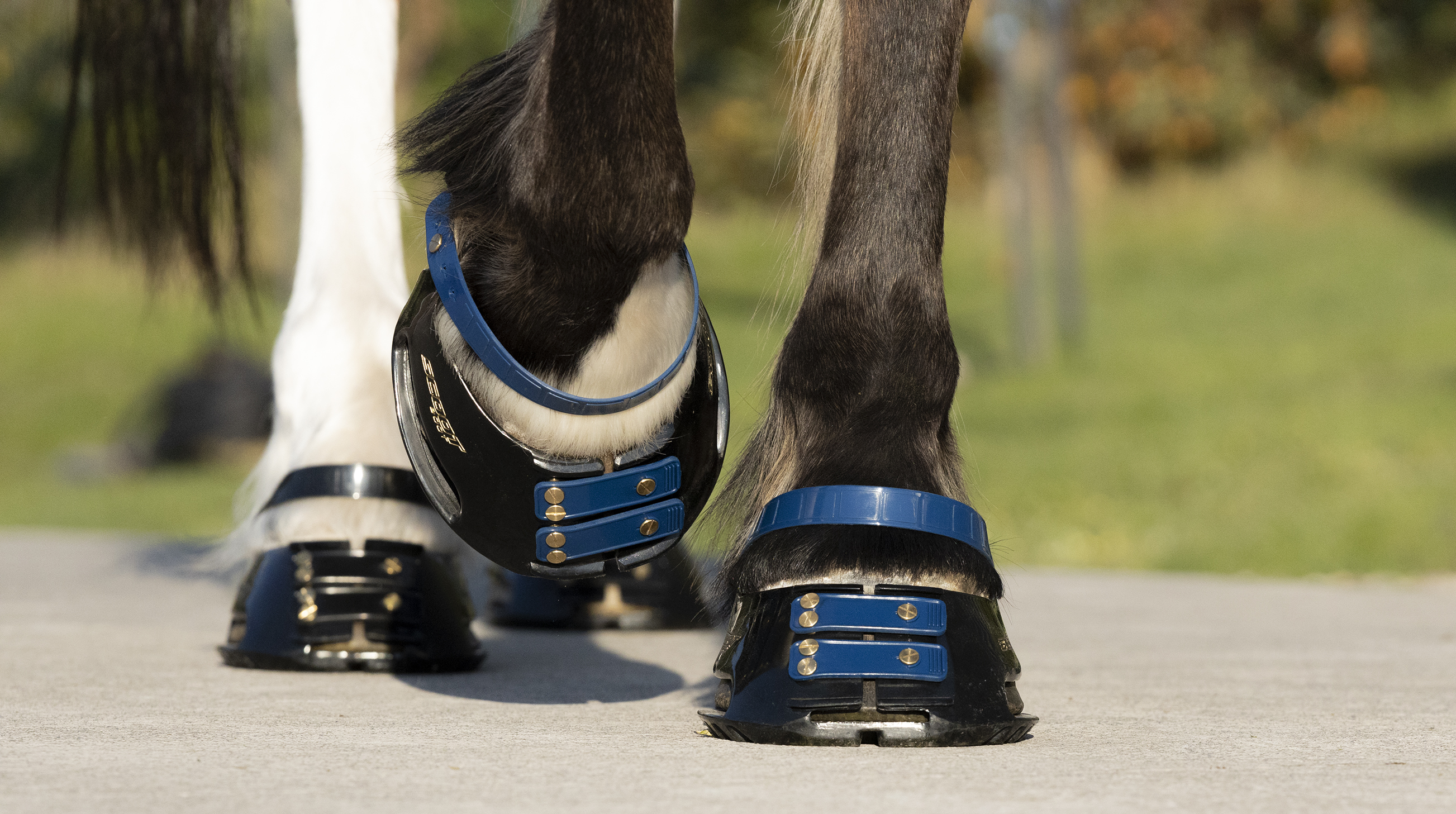 Scootboot Front Strap  2-pack  - 12