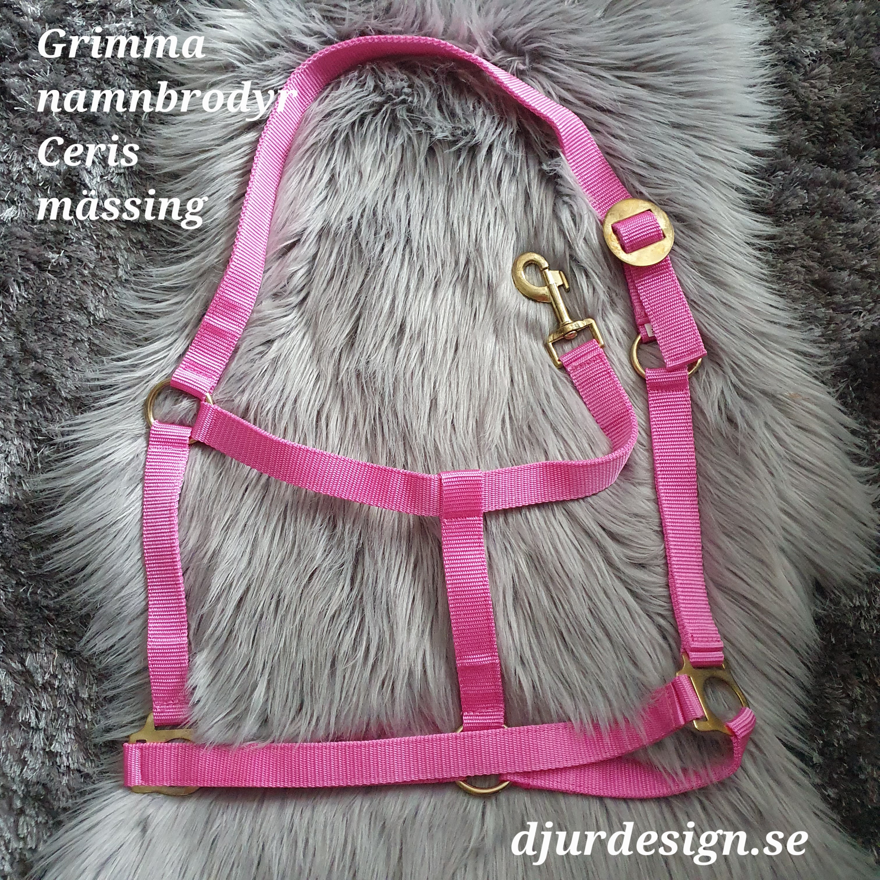 FULL Ceris mässing  grimma  med namn brodyr  A-B 50 cm C-D 34 cm