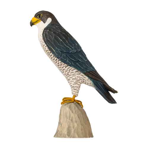 DecoBird Faucon Pélerin - 3