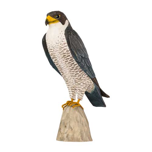 DecoBird Faucon Pélerin