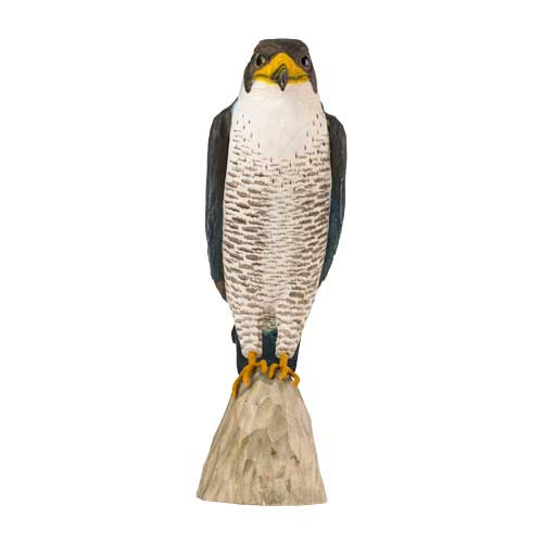 DecoBird Faucon Pélerin - 5