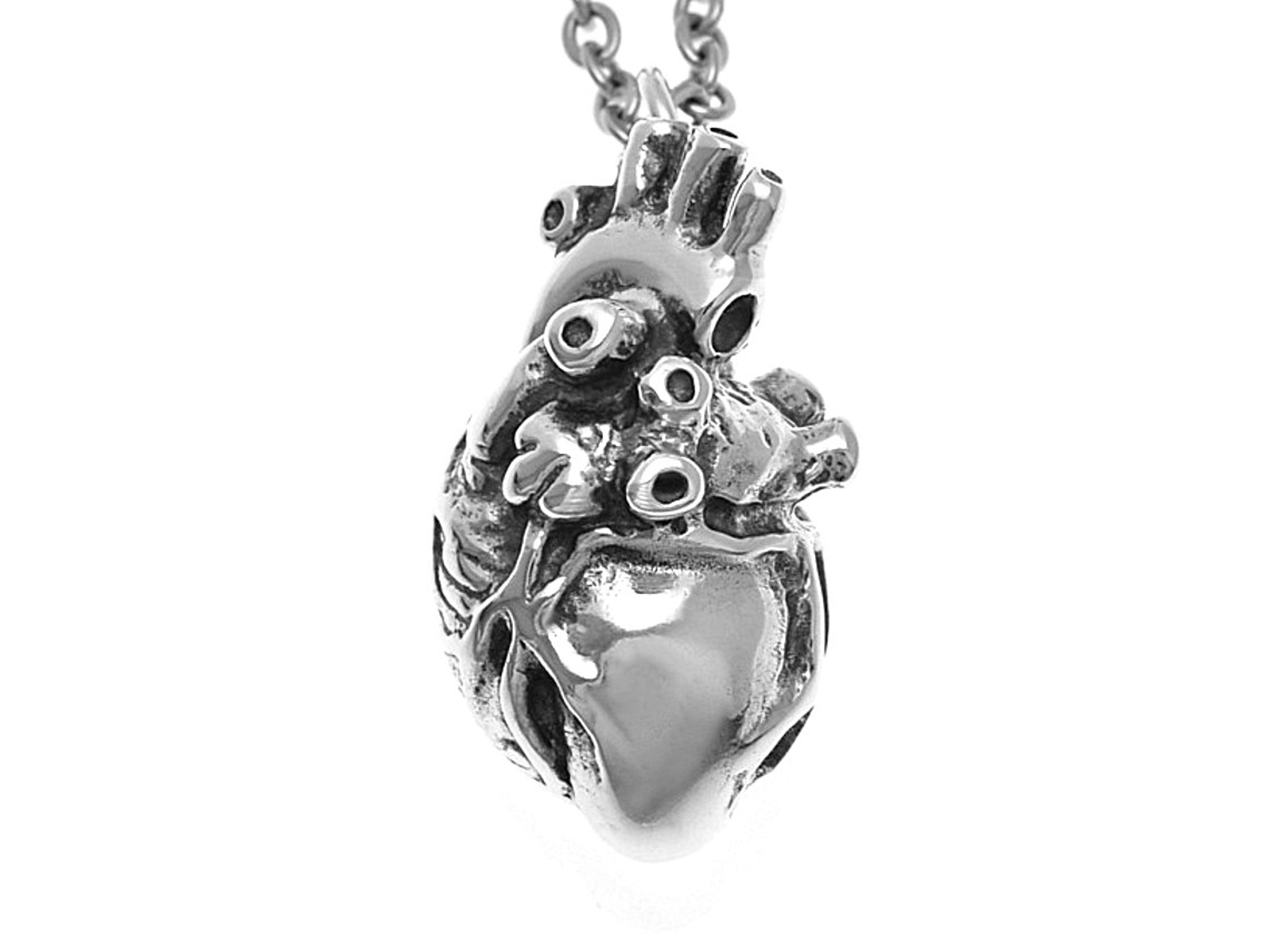 Anatomiskt Hjärta Halsband, Anatomi Smycke i Silver