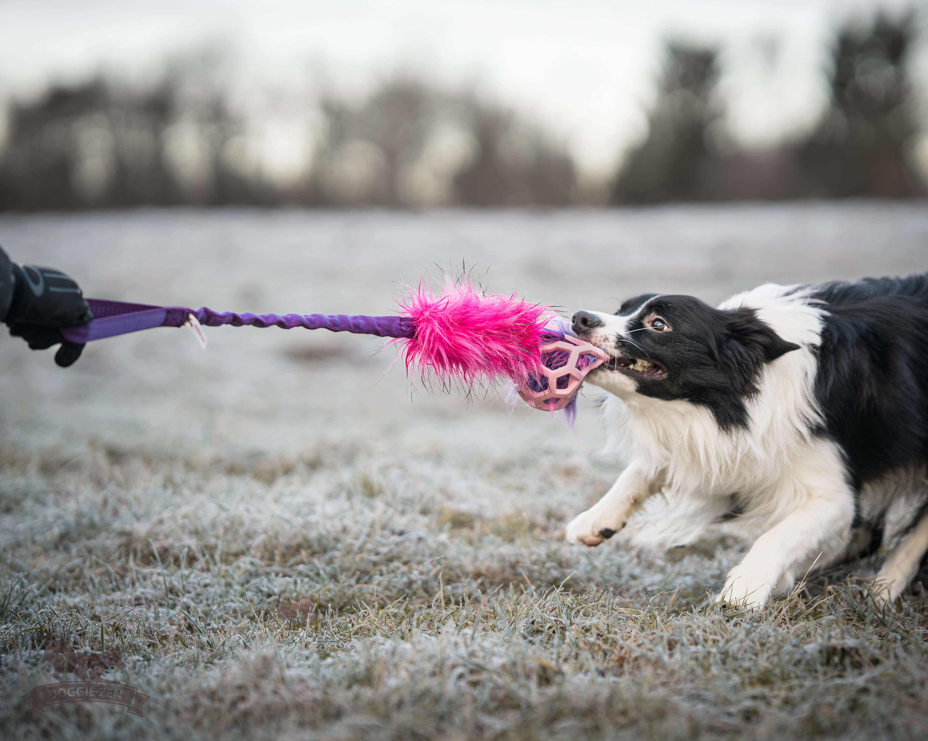 Bungee Fake Fur Tug L with Hol-ee Roller - 5