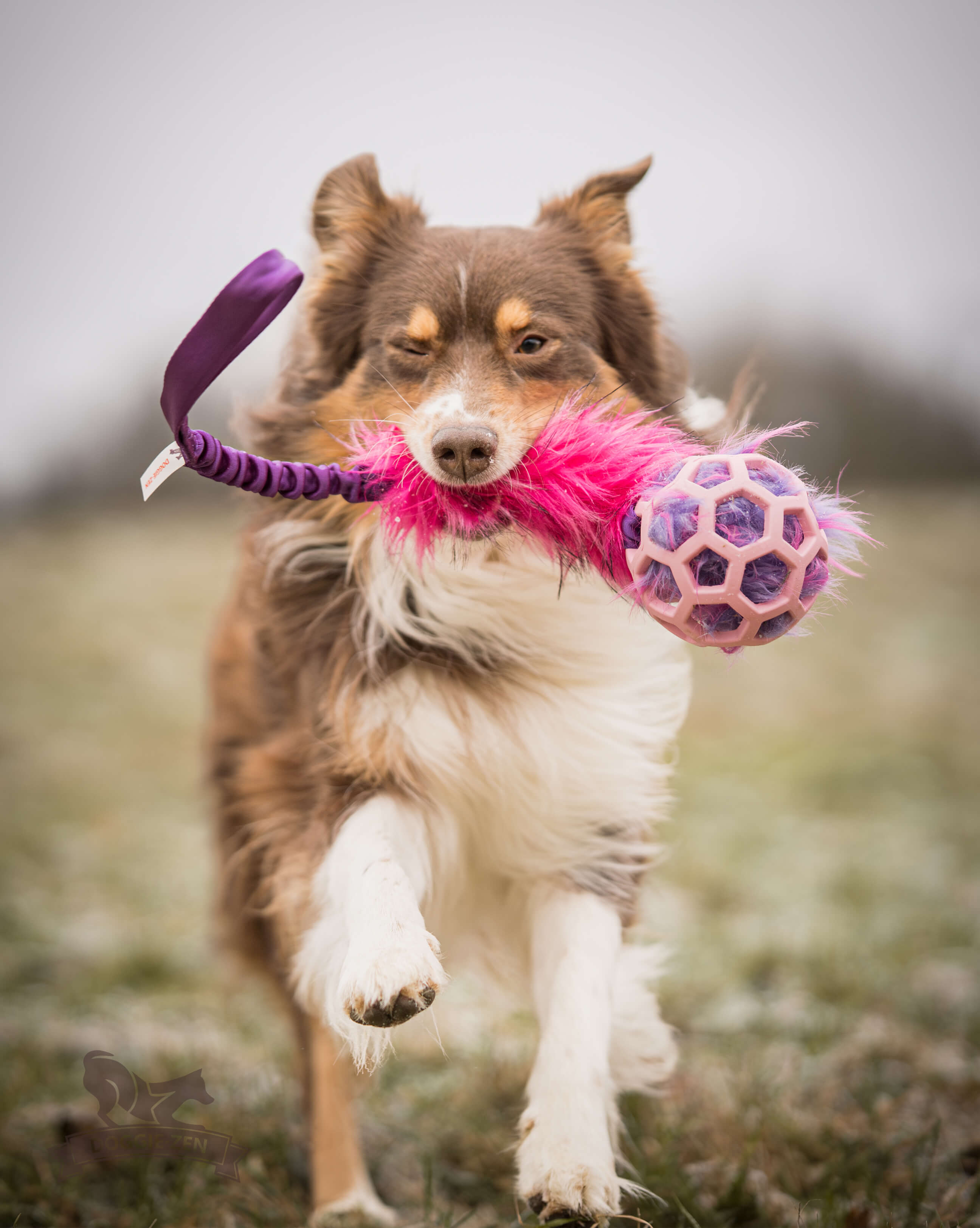 Bungee Fake Fur Tug L with Hol-ee Roller - 2