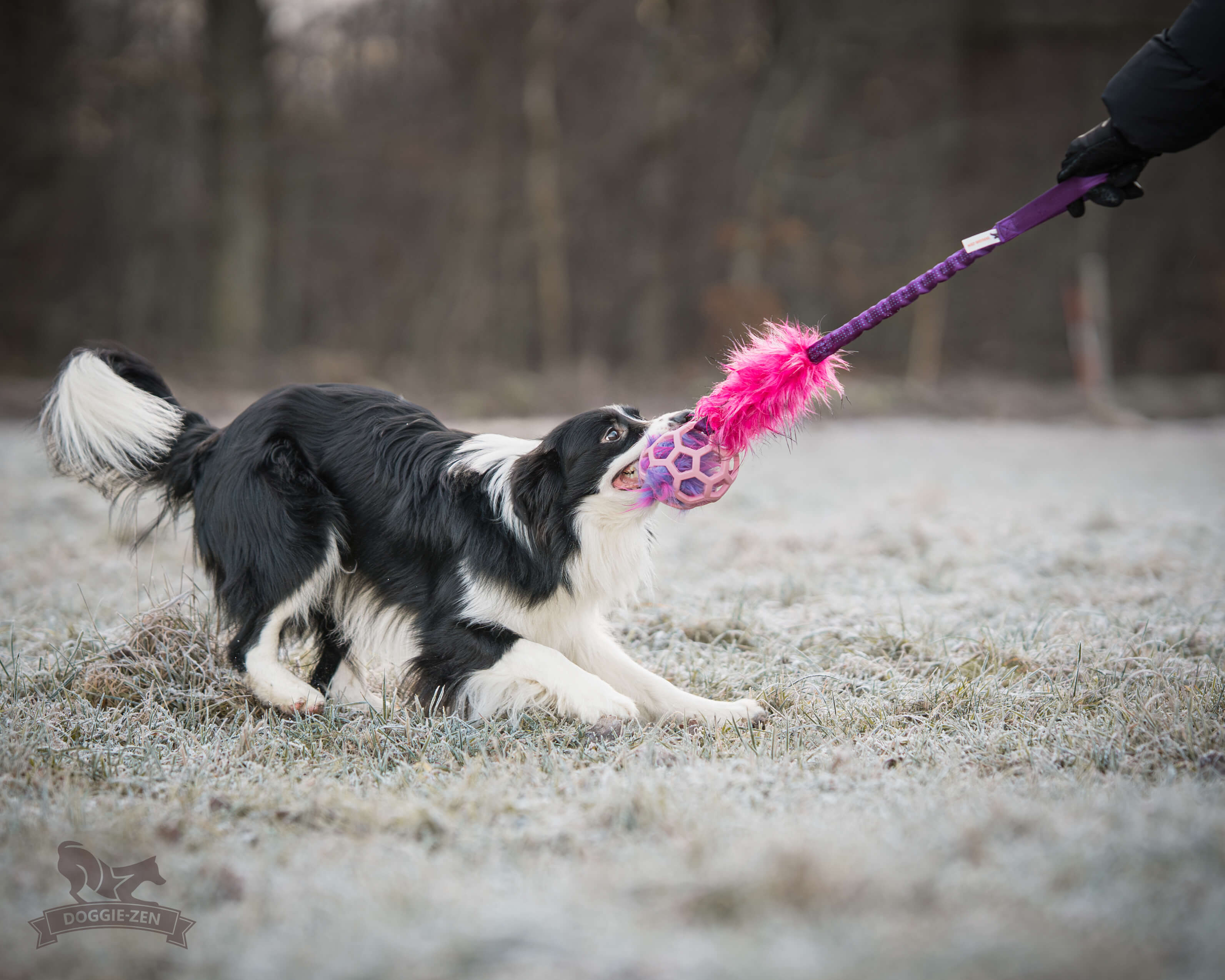 Bungee Fake Fur Tug L with Hol-ee Roller - 3