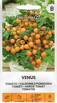 Dvärg/Busktomat Venus