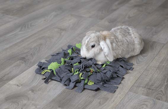 Trixie Aktivitetsfilt Sniffing Carpet För Smådjur 27x20cm Grå/Grön - 10