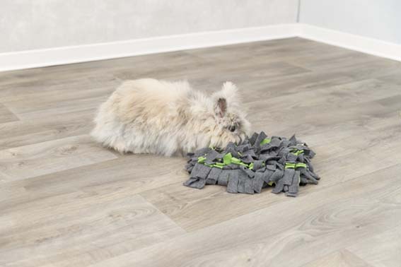 Trixie Aktivitetsfilt Sniffing Carpet För Smådjur 27x20cm Grå/Grön - 12