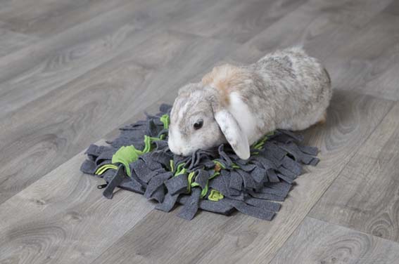 Trixie Aktivitetsfilt Sniffing Carpet För Smådjur 27x20cm Grå/Grön - 11