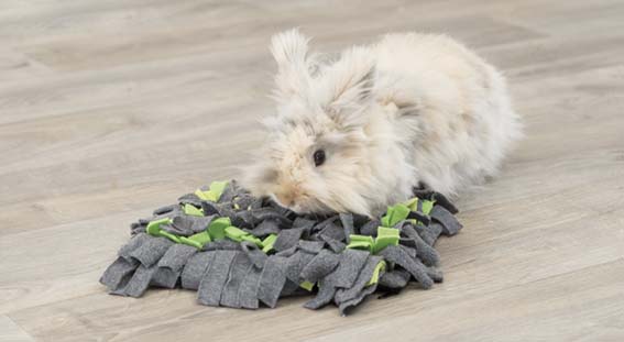 Trixie Aktivitetsfilt Sniffing Carpet För Smådjur 27x20cm Grå/Grön - 2