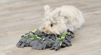Trixie Aktivitetsfilt Sniffing Carpet För Smådjur 27x20cm Grå/Grön