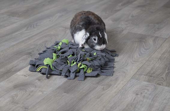 Trixie Aktivitetsfilt Sniffing Carpet För Smådjur 27x20cm Grå/Grön - 9