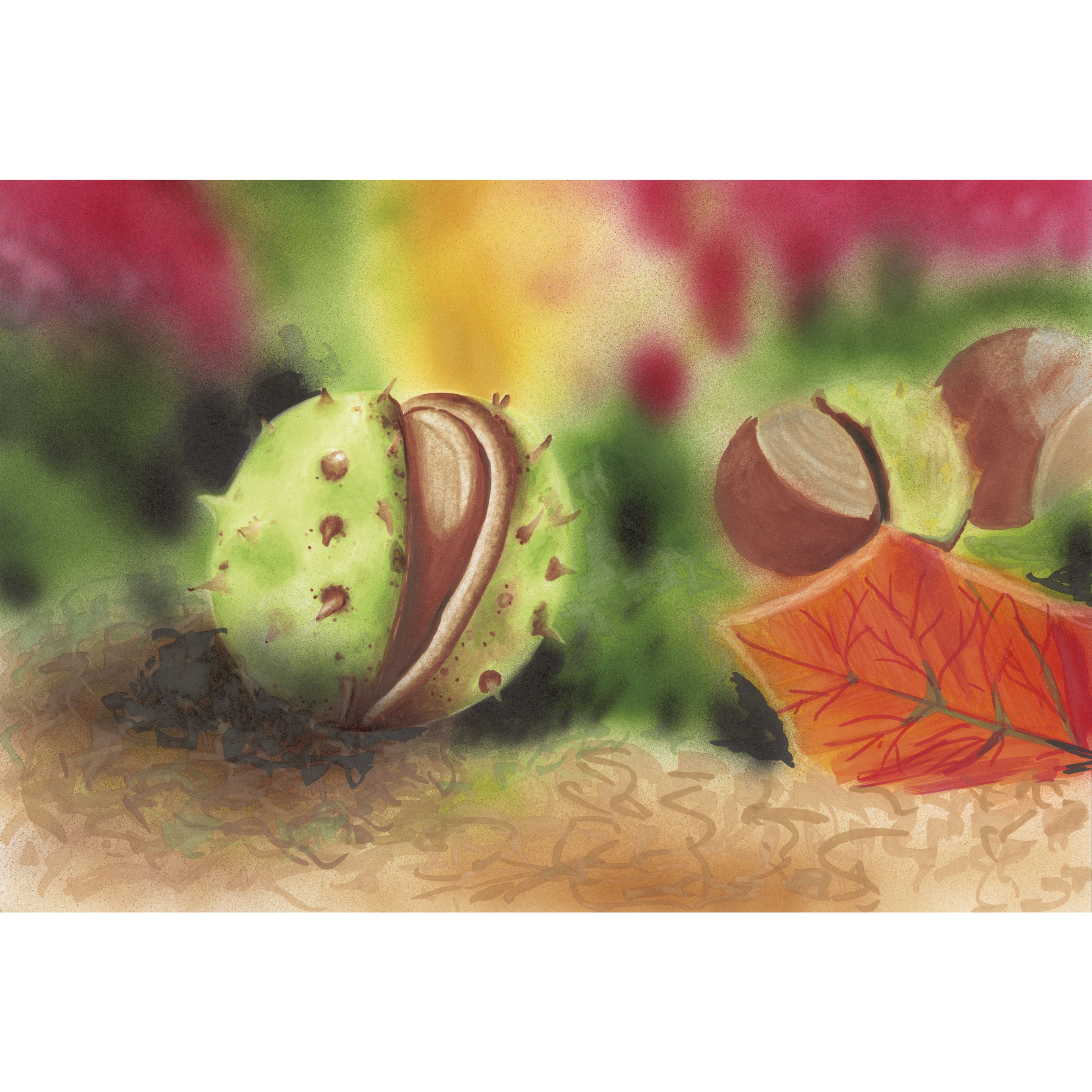Copic Classic Höstfärger - 4