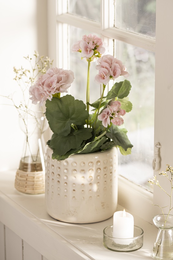 GERANIUM IN PLASTIC POT LIGHT PINK - 35 CM - 8