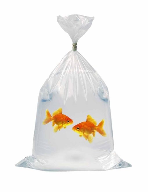 Fiskpåse för transport av fiskar
