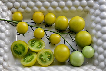 Sungreen Hybrid