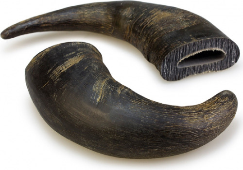 Buffel Horn / Medium
