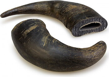 Buffel Horn / Medium