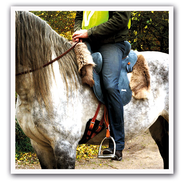 Reindeer fur (saddle pad), M - 2