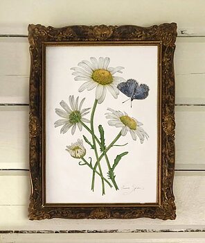 ART PRINT DAISIES 30x40
