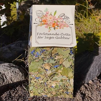 Förlösande ört-te för sega gubbar. Örtte med brännässla