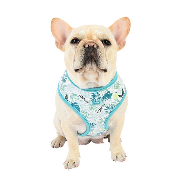 Puppia Rowan Sele Modell A Aqua - 2