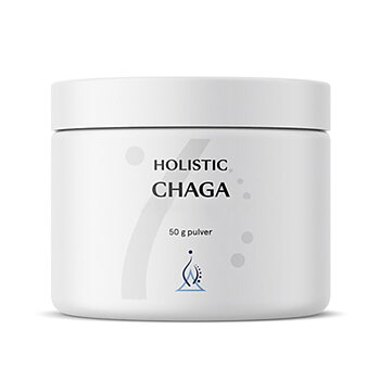 Chaga 50 g Holistic