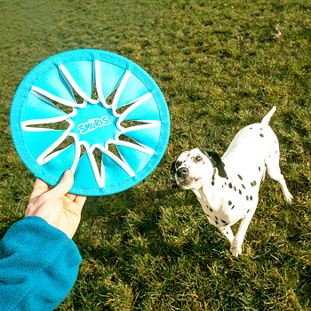 DuvoPlus Hundleksak Neoprene Hefty Smurf Frisbee 24x24x1cm Blå