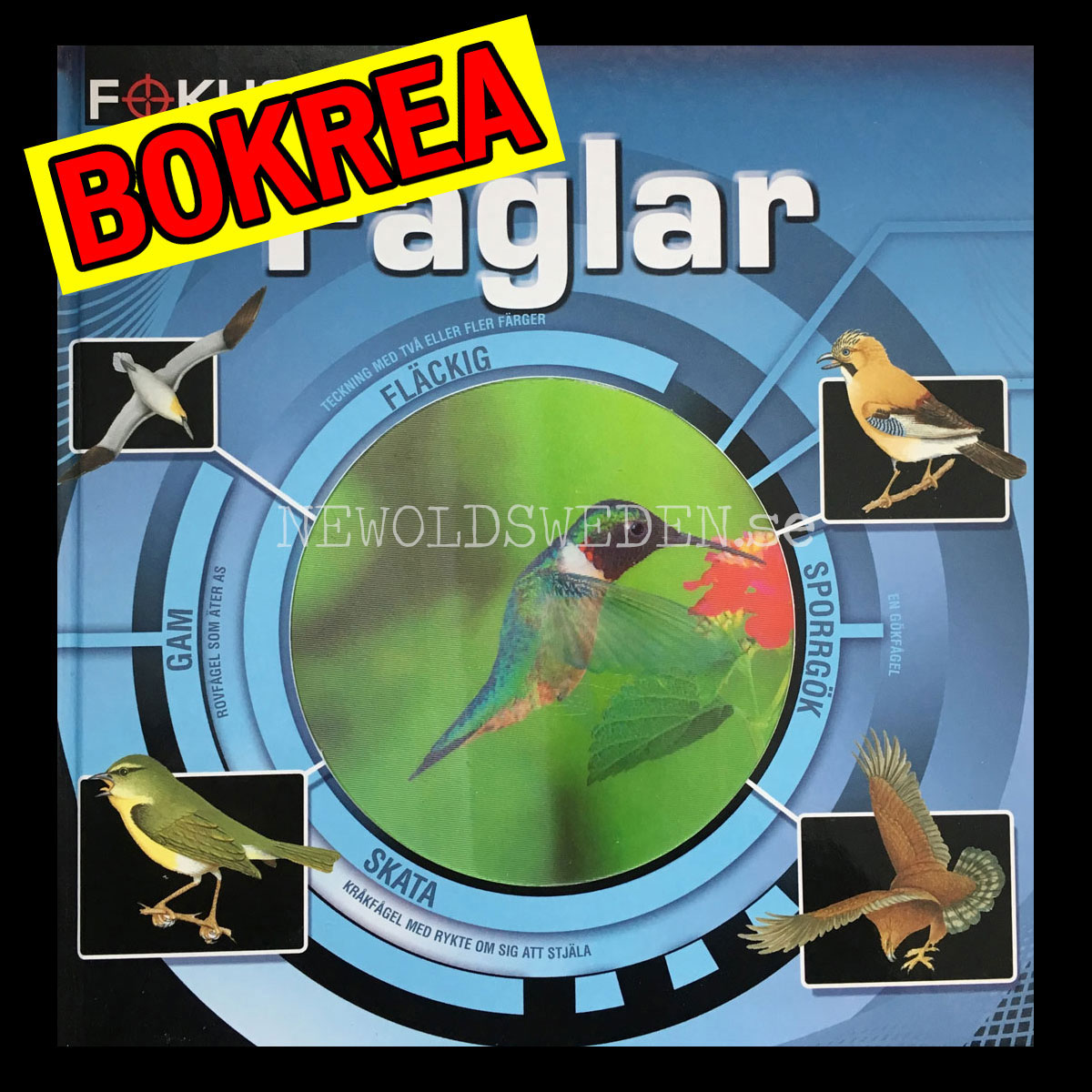 Focus på Fåglar - H07