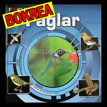 Focus på Fåglar - H07