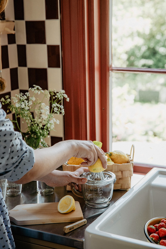 CITRUS PRESS - LEMON PRESS/MEASURING CUP - JUICE PRESS